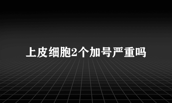 上皮细胞2个加号严重吗