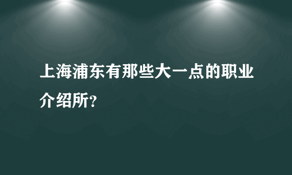 上海浦东有那些大一点的职业介绍所？
