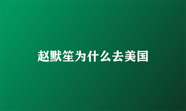 赵默笙为什么去美国