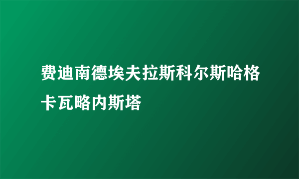 费迪南德埃夫拉斯科尔斯哈格卡瓦略内斯塔