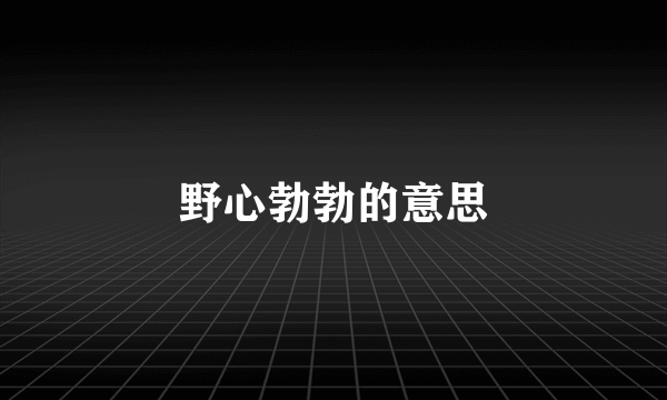 野心勃勃的意思