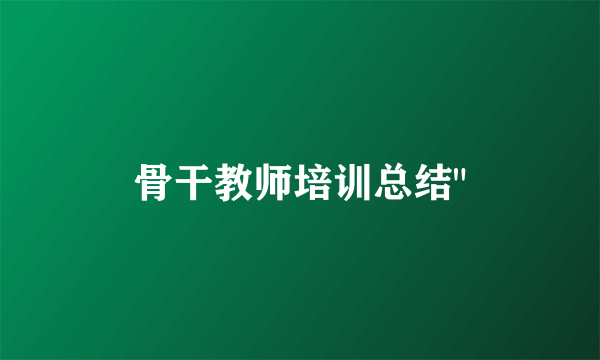 骨干教师培训总结
