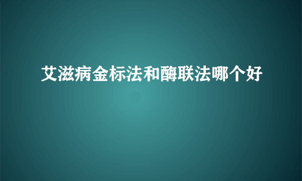 艾滋病金标法和酶联法哪个好