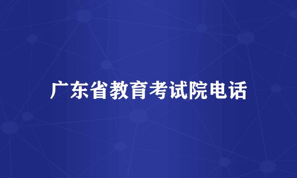 广东省教育考试院电话
