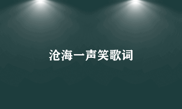 沧海一声笑歌词