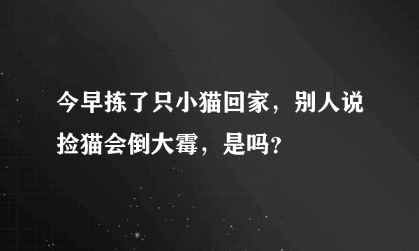 今早拣了只小猫回家，别人说捡猫会倒大霉，是吗？