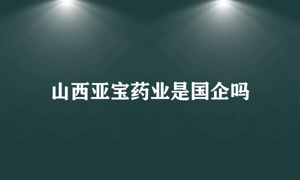 山西亚宝药业是国企吗