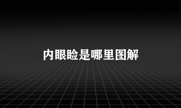 内眼睑是哪里图解