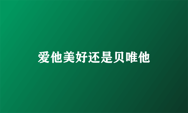 爱他美好还是贝唯他