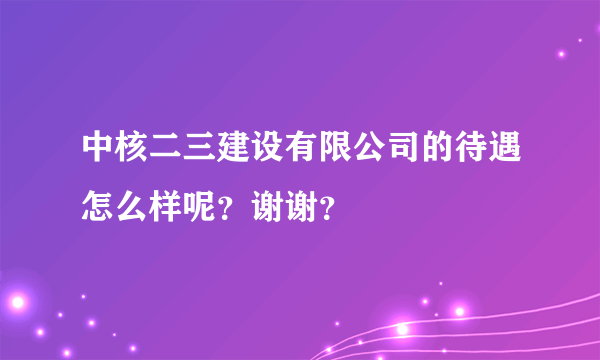 中核二三建设有限公司的待遇怎么样呢？谢谢？