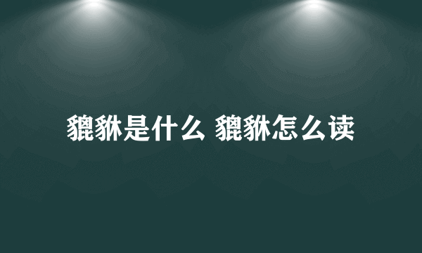 貔貅是什么 貔貅怎么读