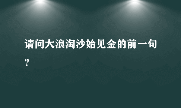 请问大浪淘沙始见金的前一句？