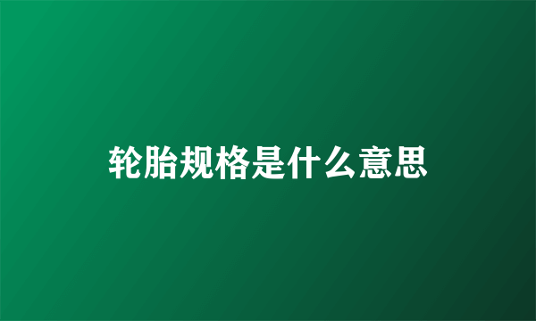 轮胎规格是什么意思