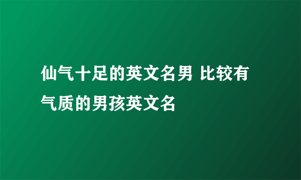 仙气十足的英文名男 比较有气质的男孩英文名