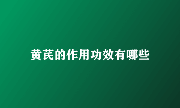 黄芪的作用功效有哪些
