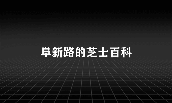 阜新路的芝士百科