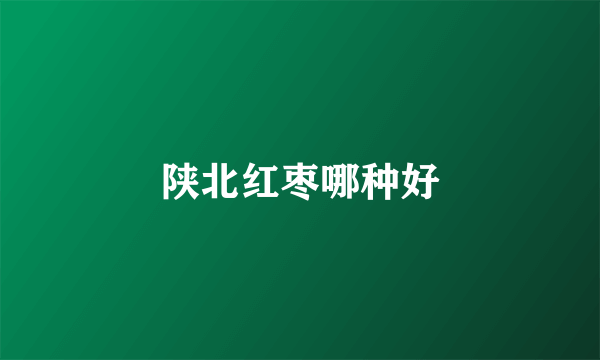 陕北红枣哪种好