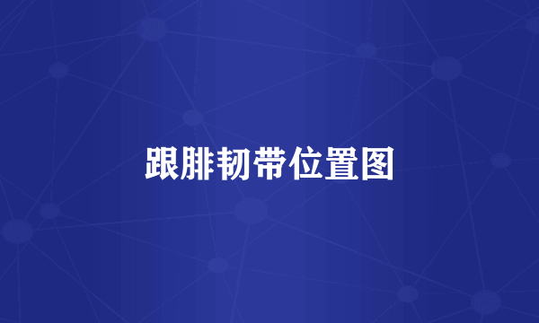 跟腓韧带位置图