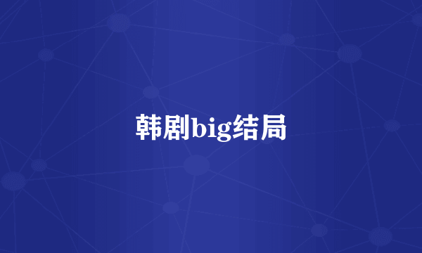 韩剧big结局