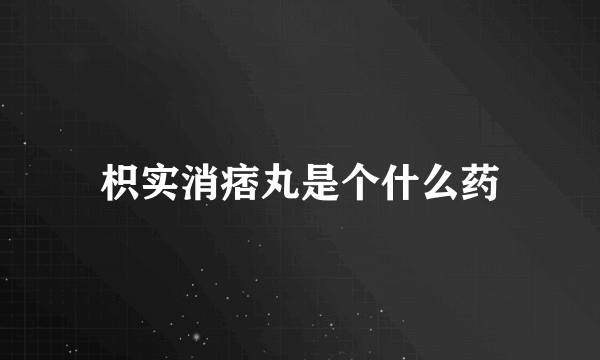 枳实消痞丸是个什么药