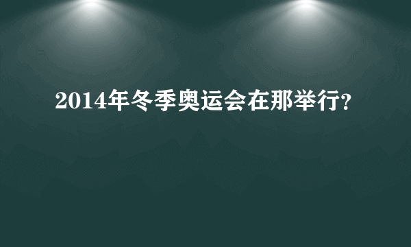 2014年冬季奥运会在那举行？