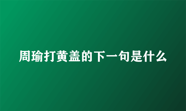 周瑜打黄盖的下一句是什么