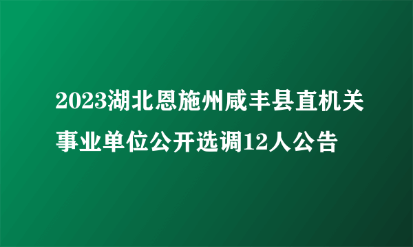 2023湖北恩施州咸丰县直机关事业单位公开选调12人公告