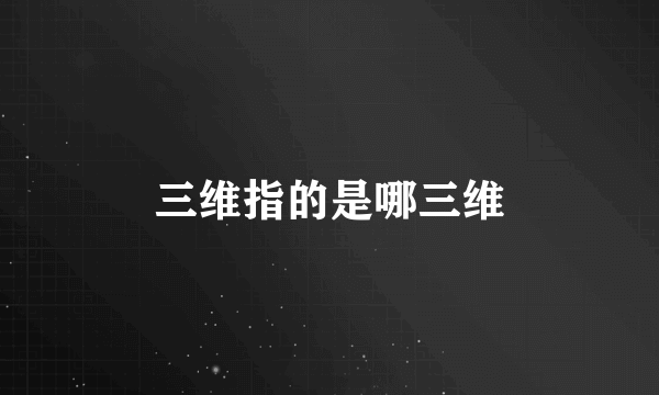 三维指的是哪三维