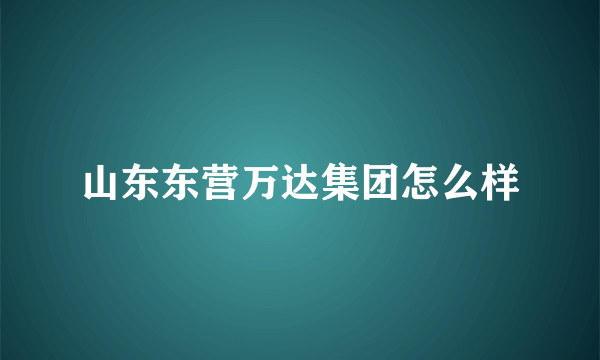 山东东营万达集团怎么样