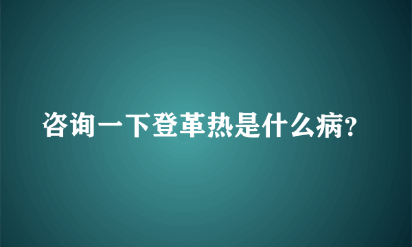咨询一下登革热是什么病？