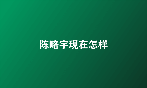 陈略宇现在怎样