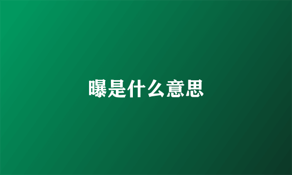 曝是什么意思