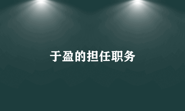 于盈的担任职务