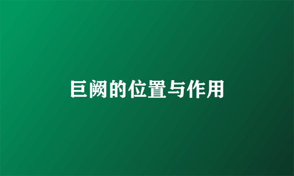 巨阙的位置与作用