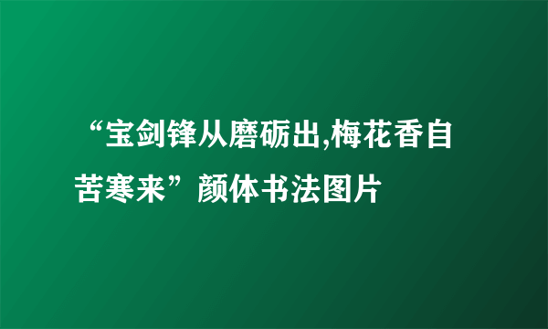 “宝剑锋从磨砺出,梅花香自苦寒来”颜体书法图片