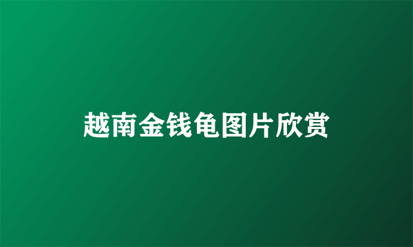 越南金钱龟图片欣赏