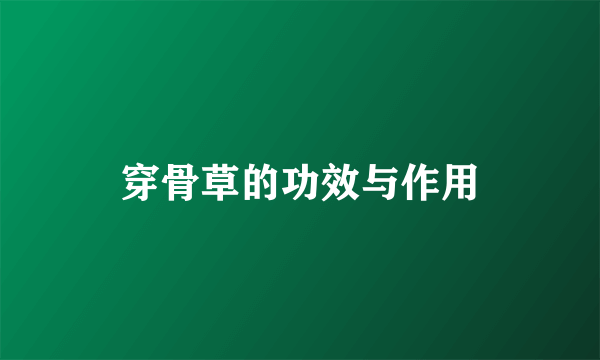 穿骨草的功效与作用