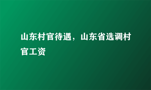 山东村官待遇，山东省选调村官工资