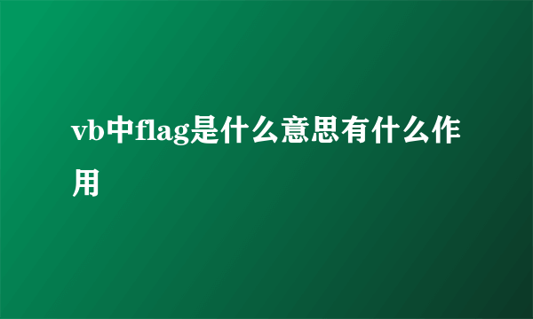 vb中flag是什么意思有什么作用