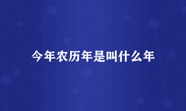 今年农历年是叫什么年