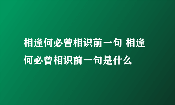 相逢何必曾相识前一句 相逢何必曾相识前一句是什么