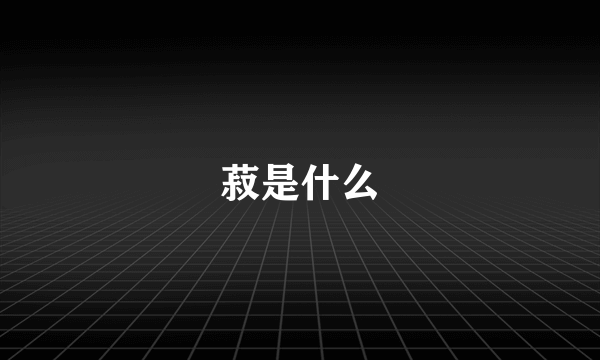 菽是什么