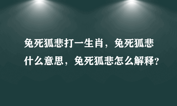 兔死狐悲打一生肖，兔死狐悲什么意思，兔死狐悲怎么解释？