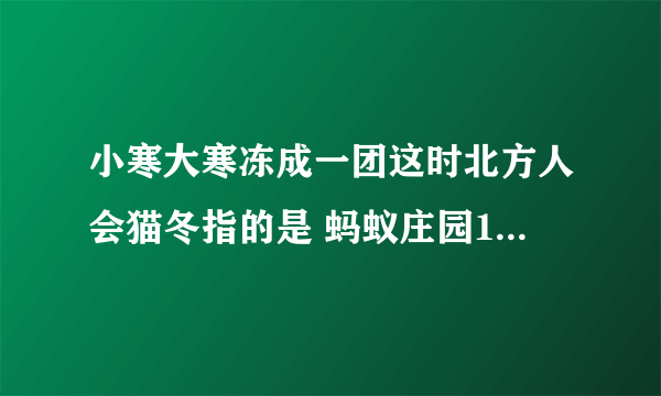 小寒大寒冻成一团这时北方人会猫冬指的是 蚂蚁庄园1月5日答案早知道