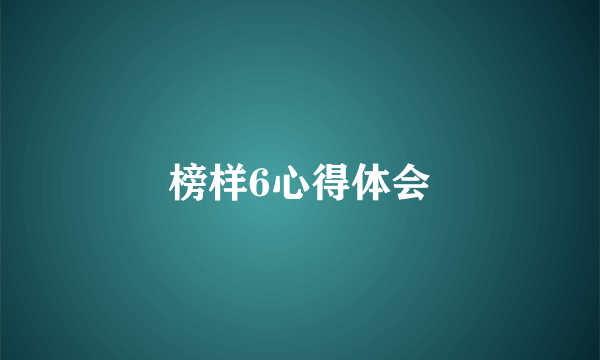 榜样6心得体会