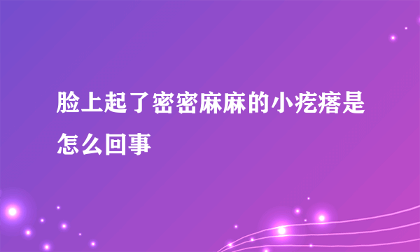 脸上起了密密麻麻的小疙瘩是怎么回事