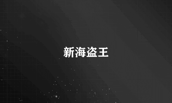 新海盗王