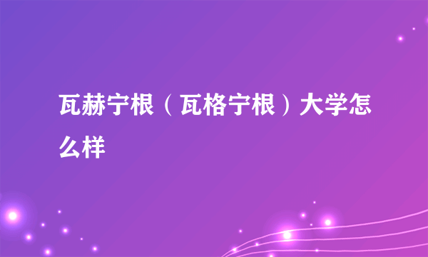 瓦赫宁根（瓦格宁根）大学怎么样