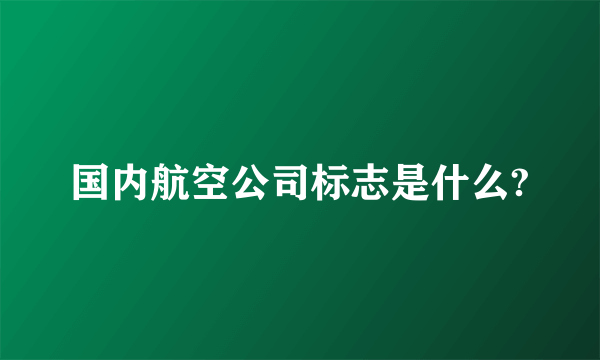 国内航空公司标志是什么?