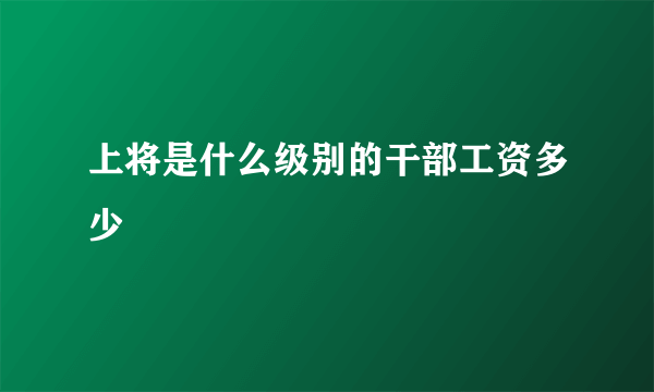 上将是什么级别的干部工资多少